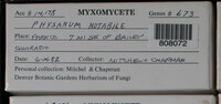 Image Associated With the Occurence